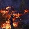 Europe's red alert HELL: Boy, four, dies of heatstroke in Italy as temperatures hit record highs in France and masses are evacuated in the Balkans as wildfires tear through