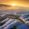 Mondiale investeringen in groene energie dit jaar dubbel zo hoog als in fossiel