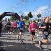 Cholet. Course contre le cancer à travers la zone du Cormier : les inscriptions sont ouvertes