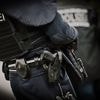 Razzia in Mecklenburg-Vorpommern: Waffen und Sprengstoff bei AfD-Politiker sichergestellt