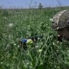 CARTE. Guerre en Ukraine : attaque de drones, une journaliste russe exfiltrée… Le point du jour