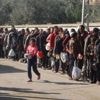 Guerre à Gaza : à Deir al-Balah, dans le sud de l'enclave palestinienne, le travail des ONG devient de plus en plus délicat