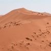 Namibie : sur les dunes du plus vieux désert de la planète