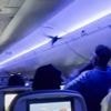 Pandemonium as 2 pigeons take over Delta plane cabin, panicking passengers