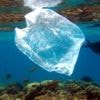 Plastic bag bans and fees curb US shoreline litter, study suggests