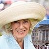 EDEN CONFIDENTIAL: Queen's top crime writer in hunt for online crooks