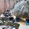 The town infested with supersized rats which feast on uncollected rubbish and fatten up to 22 inches... and not even locals' toilets are safe!