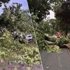 Onweer teistert oosten van Limburg: bliksem slaat in op politiekantoor van Maasmechelen en boom valt op auto