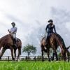Reitsport: Erstmals mit Liebespaar: EM-Team geht auf Gold-Jagd