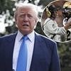 Donald Trump rips into 'stupid' NFL owners as he weighs in on Shedeur Sanders snub in bizarre draft rant
