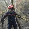 Incendie en forêt de Brocéliande : après avoir brûlé 90 hectares de forêt, le feu est déclaré éteint