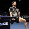 Tennis de Table. Pro A : fin du rêve de titre pour Angers éliminé en demi-finale par Hennebont
