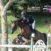 Équitation. Steve Guerdat gagne le premier 5*du Jumping international de Dinard devant un Français