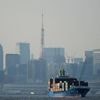 Japan records trade deficit as exports suffer from Trump's tariffs