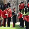 King Charles is dwarfed by troops as he inspects them ahead of birthday parade