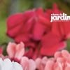 VIDÉO. De la couleur sur votre balcon : voici comment faire une potée fleurie pour l’automne
