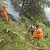 India suffers more heartache as at least seven killed in horror helicopter crash just days after Air India tragedy
