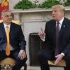 US-Präsident schreibt Orban: Trump "sehr wütend" über ukrainische Druschba-Angriffe