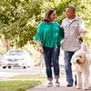 Doctors reveal the simple lifestyle changes that could prevent dementia in largest study of its kind