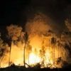 REPORTAGE. "En colère", "abandonnés" : en Espagne, des habitants de Castille-et-Léon dénoncent la mauvaise gestion des incendies par leur gouvernement local