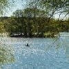 E.Coli-Bakterien: Warnung vor Baden im Groß Glienicker See Nord