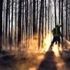Feuerwehreinsätze: Waldbrände in Brandenburg weiterhin unter Kontrolle
