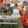 Buurtbewoners en vrienden dopen plein in Vosselaar om tot Julespleintje: “Zo is ze altijd nog een beetje bij ons”