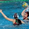 „Dass es so lange dauert, ist blöd für uns“: Hallensperrung zwingt Spandaus Wasserballerinnen ins Freibad