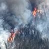 Au Canada, près de six millions d'hectares ont déjà été brûlés par les feux de forêt cette saison