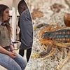 Woman, 20, rushed to hospital after getting stung by scorpion in Zara changing room