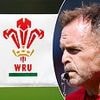 Harlequins head coach Danny Wilson joins Wales set-up for summer tour of Japan - but will return to London club