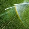 Landwirtschaft: Bauern reagieren auf Trockenheit: Mehr Bewässerung und Soja