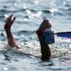 Schwimm-WM in Singapur: Völlig entkräftet im Wasser: Hitze prägt Freiwasserrennen