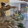 Manche. Découvrez le métier de vitrailliste avec une « Meilleure apprentie de France »