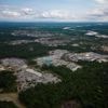 Colombia reports 33% drop in deforestation in early 2025, with major progress in Amazon parks