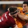 Immense Lion Curry lets world-class performance speak for itself
