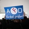 „Schutzauftrag zugunsten der demokratischen Grundordnung“: Geheimdienst-Experte fordert Vorbereitung für AfD-Verbot
