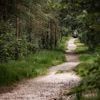 Politie ontvangt tientallen tips over ernstig zedenmisdrijf in Zeist