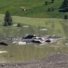 Village englouti en Suisse : les raisons de l’effondrement du glacier du Birch