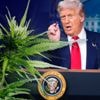 Cannabisaandelen fors omhoog na uitspraken van Trump