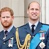 The real reason Prince Harry and Prince William won't inherit Princess Diana's childhood home and the little-known family member who is first in line to the estate