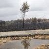 Incendies en Espagne et au Portugal : "Ce sont vraiment des surfaces exceptionnelles", souligne le porte-parole de la Sécurité civile