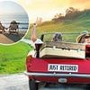 How much you really need to NEVER run out of money in retirement: Wealth experts reveal exactly what you will have to save - even if you live to 100