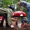 Treurige Dag van het Nationaal Park: kabinet draait natuureducatie de nek om