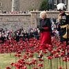 Queen Camilla dons her poppies as she walks through a sea of red and admires 30,000 ceramic flowers
