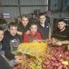 Avec Solaal, ces lycéens ont trié des pommes de terre pour l’aide alimentaire
