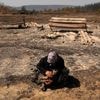 Climate change made deadly wildfires in Turkey, Greece