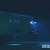 Submersible finds sea creatures thriving in the deepest parts of the ocean