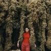 Wildwuchs in Berlin: Diese acht Ausstellungen zu Kunst und Natur lohnen sich am Wochenende