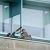 Staatsgast: Hohe Sicherheitsstufe und Absperrungen bei Selenskyj-Besuch